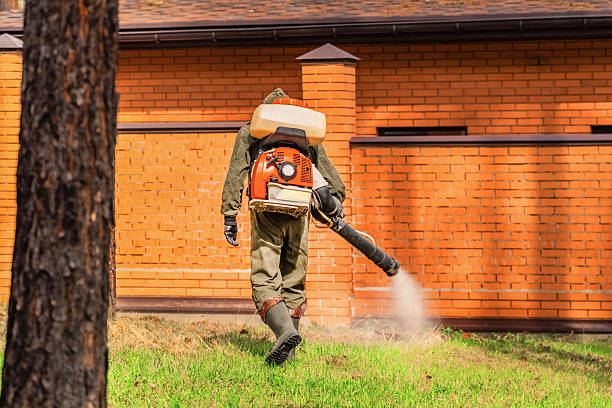 Trusted Cockroach Control service in Liberty City, TX - Nex Pest Control